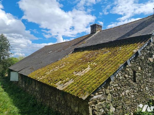 A VENDRE Longère à Crédin en campagne