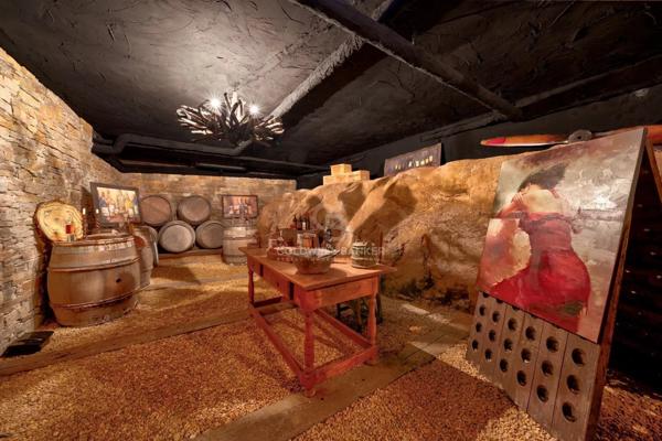 Vente villa 7 pièces 06210 - Mandelieu la Napoule