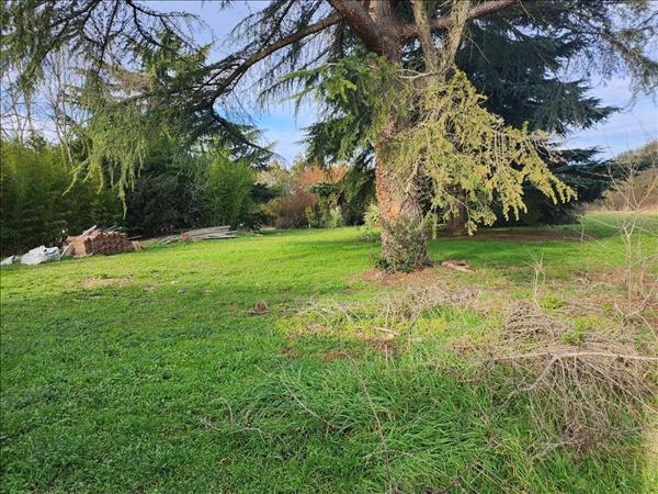 Terrain à vendre |  Toulouse |  485 m²