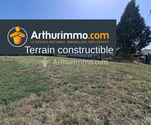 Vente                                                      Terrain
                        
                                         703 m2                     à Gaillac