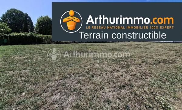 Vente                                                      Terrain
                        
                                         703 m2                     à Gaillac