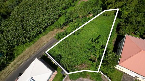 Terrain 970m² BASSE POINTE