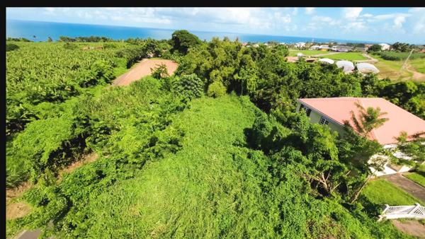 Terrain 970m² BASSE POINTE