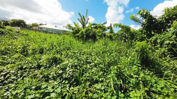 Terrain 970m² BASSE POINTE