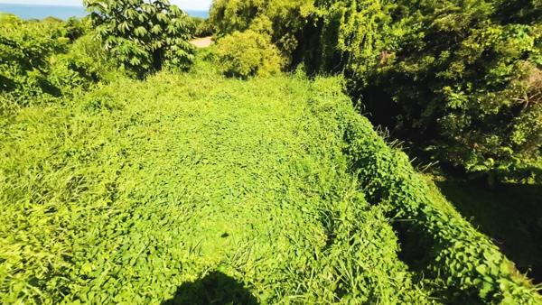 Terrain 970m² BASSE POINTE