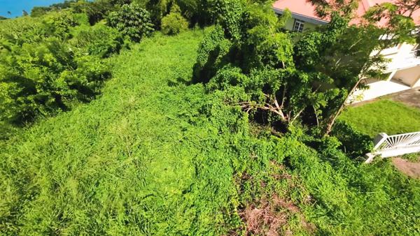 Terrain 970m² BASSE POINTE