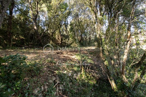 Terrain de 1 881 m²