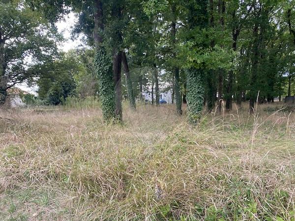Terrain  en vente - Charente-Maritime - 17