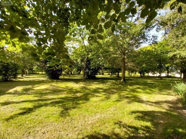 Maison individuelle à vendre à Louvigné-de-Bais en Ille-et-Vilaine (35680), ref : 35131-1039757   
Hors lotissement