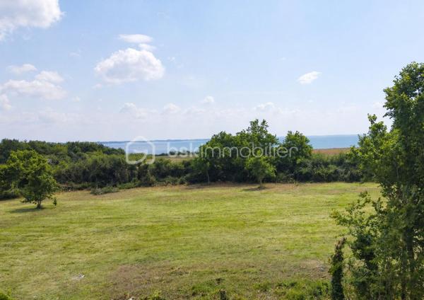 Terrain de 4 031 m²