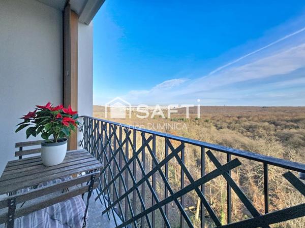 Appartement avec vue magnifique sur la Tour Eiffel