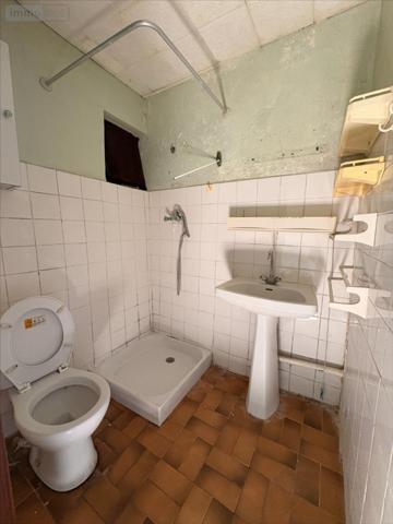 Maison à restaurer à vendre à Pleubian dans les Côtes-d'Armor (22610), ref : 22091-1091418