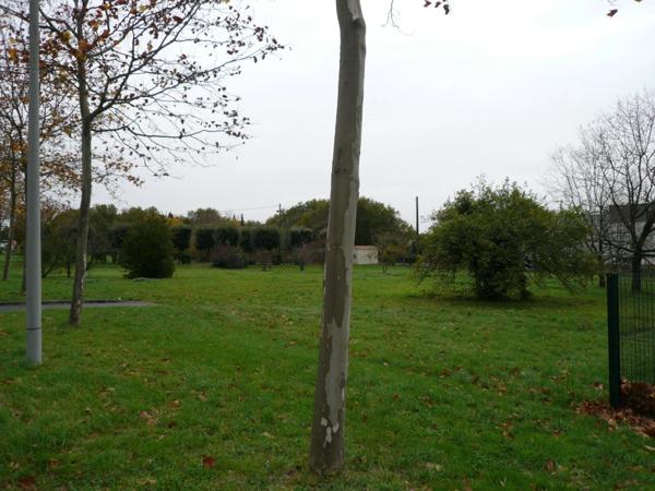 ⚜ CHATEAUBERNARD (16) Terrain à Vendre en Zone Urbaine à Vocation Economique ⚜