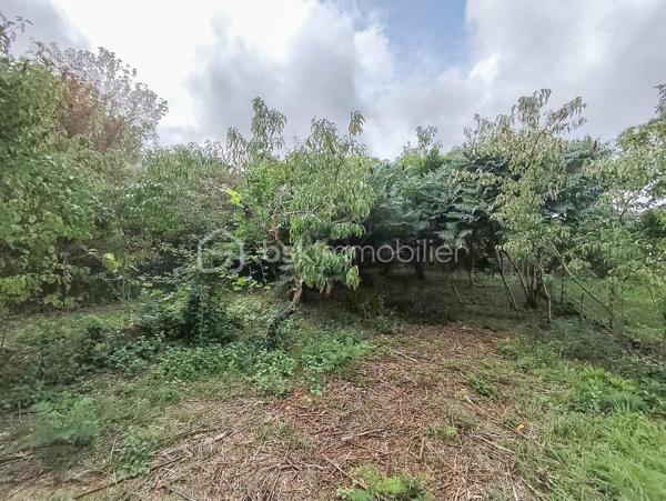Située dans une ruelle calme à 2 pas du bourg, découvrez cette charmante maison de ville qui allie la proximité immédiate des commodités et le calme absolu. Parfaite pour un premier achat, un jeune couple ou un investissement locatif !

🏠 Descriptif du bien :
Au rez-de-chaussée :
Une cuisine aménagée fonctionnelle.
Un salon / salle à manger chaleureux, idéal pour vos moments de détente.

À l’étage :
Une chambre lumineuse.
Un espace bureau (idéal pour le télétravail ou une chambre d'enfant/d'appoint).
Une salle de bains avec WC.

🌳 Les extérieurs (Le vrai plus !) :
Un premier petit jardin au calme et sans aucun vis-à-vis, véritable havre de paix pour vos déjeuners en extérieur.
Un second jardin non attenant, l'espace idéal pour les amoureux de la nature et de la terre (parfait pour un potager ou un verger).
Un cabanon de rangement et une cave, parfaits pour le stockage et le bricolage.

🛠️ Côté technique & Confort :
Double vitrage PVC sur l'ensemble des fenêtres (bonne isolation phonique et thermique).

Chaudière au gaz de ville récente (installée en 2024), l'assurance d'un chauffage performant et économique.