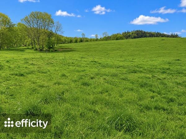 Terrain
        
        - 838 m² 230 000 € *