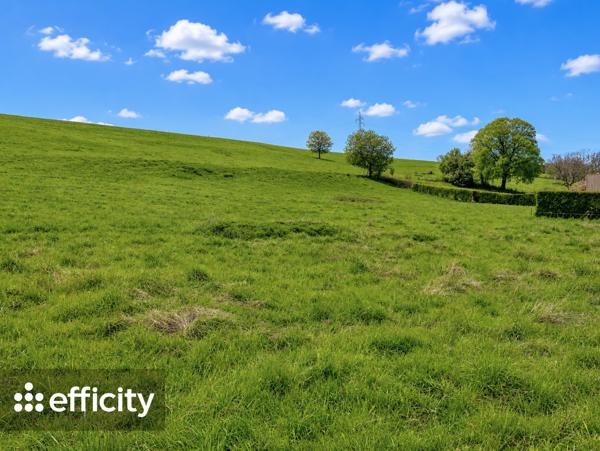 Terrain
        
        - 838 m² 230 000 € *