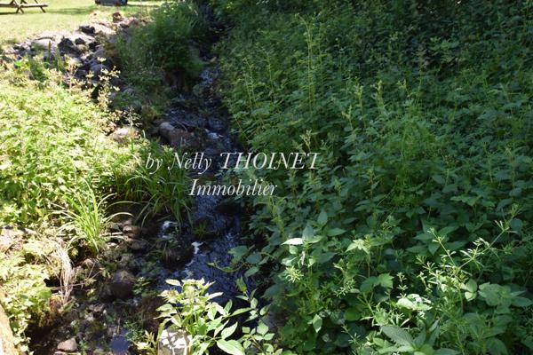 Besse-et-Saint-Anastaise (63610) Dépt.63, EGLISENEUVE D'ENTRAIGUES, ANCIEN CORPS DE FERME, T4, dépendances, bois.