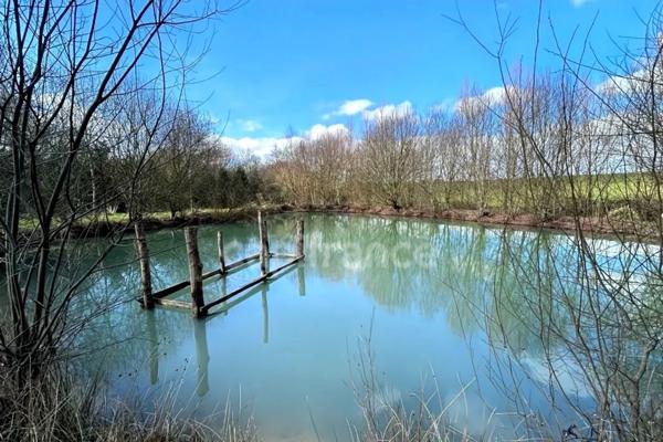 Terrain de loisirs avec un grand verger et un étang