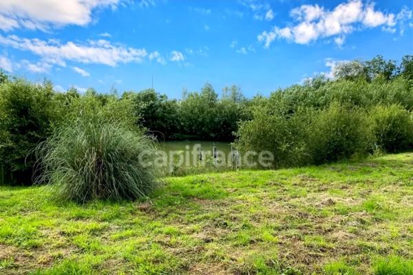 Terrain de loisirs avec un grand verger et un étang