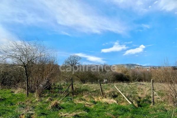 Terrain de loisirs avec un grand verger et un étang