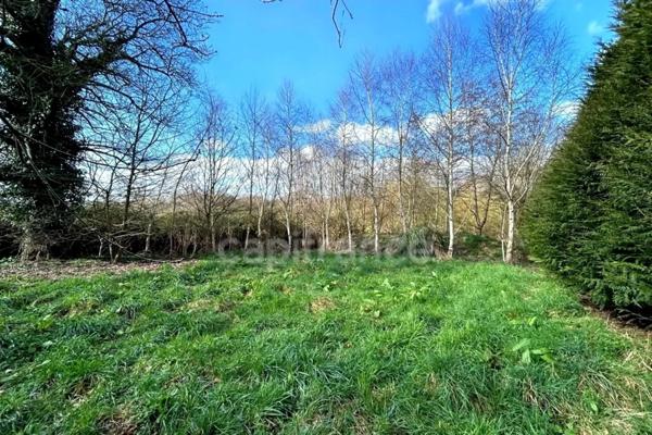 Terrain de loisirs avec un grand verger et un étang