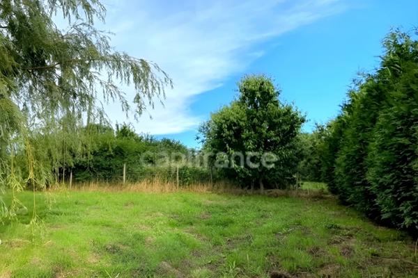 Terrain de loisirs avec un grand verger et un étang