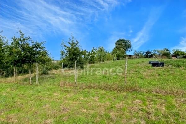 Terrain de loisirs avec un grand verger et un étang