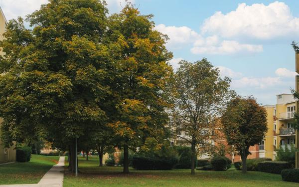 Appartement à vendre    4 pièces • 104,56 m2 Ézanville