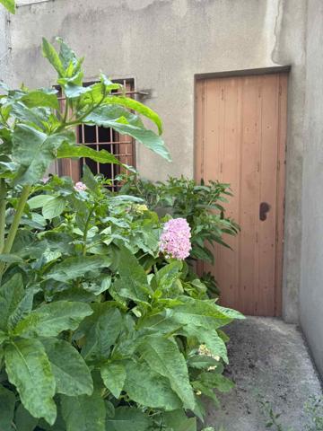 Maison de ville avec jardin et garage
