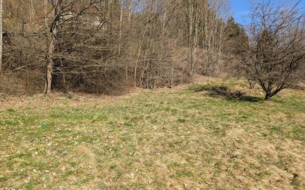 Terrain à vendre    La Bresse