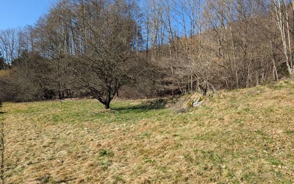 Terrain à vendre    La Bresse