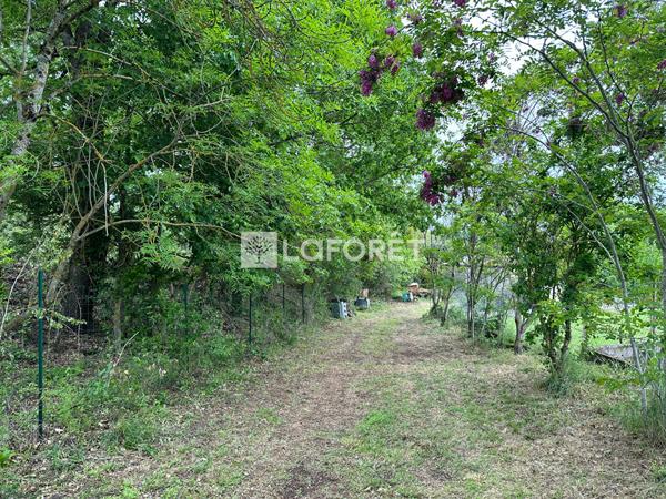 Achat terrain Puygouzon - 1215 m² - 76 000 €