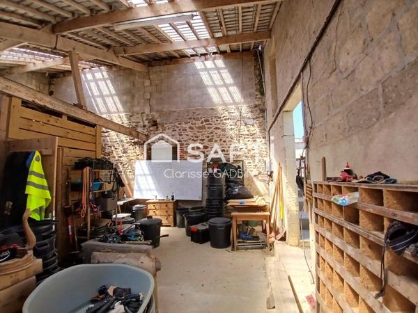 Pension canine et féline avec maison d'habitation