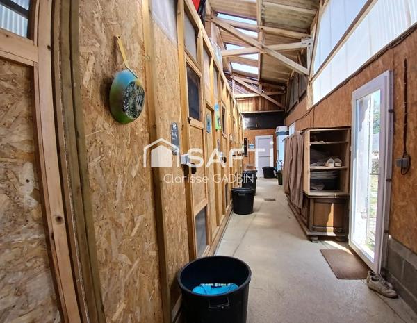 Pension canine et féline avec maison d'habitation