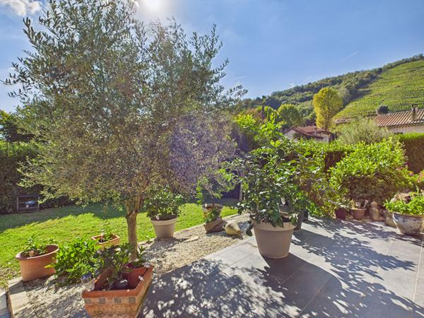 Maison 6 pièces - Terrain -1 430 m² - Piscine - Saint-Jean-de-Muzols