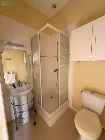 Maison à vendre à Saint-Gaultier dans l'Indre (36800), ref : 037/916