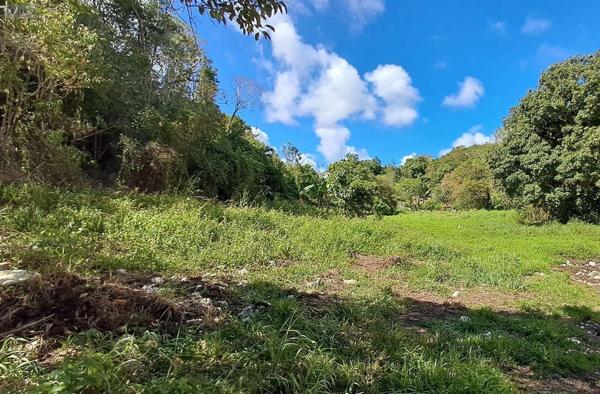 Terrain à Batir à vendre à Le Gosier en Guadeloupe (97190), ref : 15056/146
