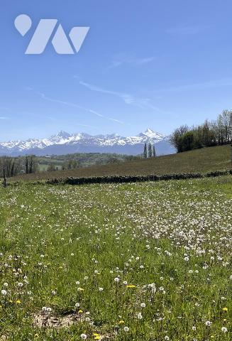 Vente Terrain à bâtir à Louey