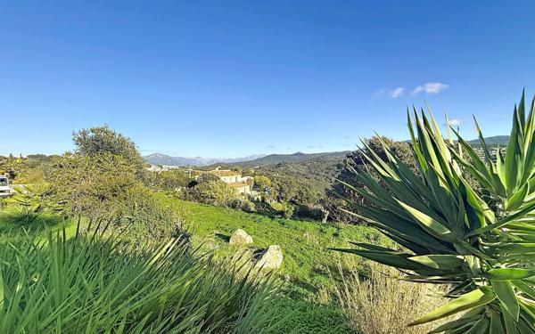 Maison à vendre    4 pièces •  Grosseto-Prugna