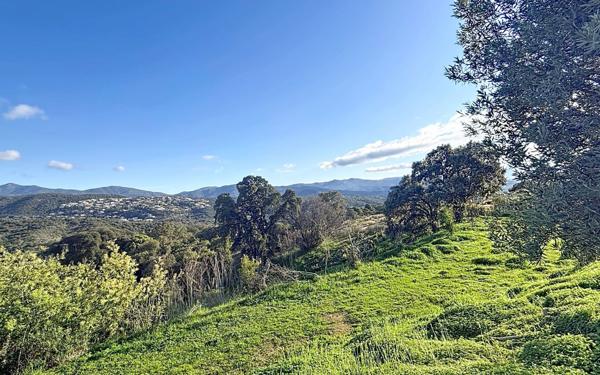 Maison à vendre    4 pièces •  Grosseto-Prugna