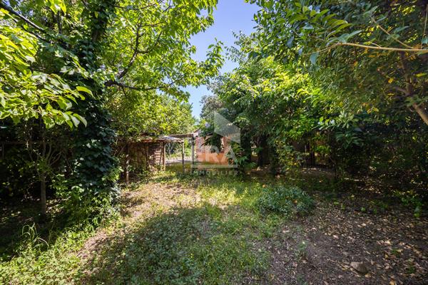 A VENDRE - CERET - MAISON 167m2