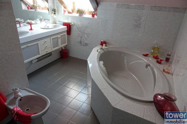 MAISON DE MAITRE 200 m2 ET SA GRANGE EN PIERRE sur terrain 4.85 HA BASSE VALLE DU LOT 46700