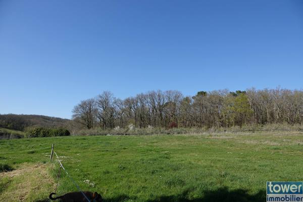 MAISON DE MAITRE 200 m2 ET SA GRANGE EN PIERRE sur terrain 4.85 HA BASSE VALLE DU LOT 46700