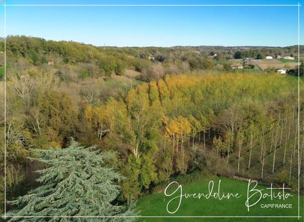 Superbe propriété composée d'une Maison Principale et de 3 Gîtes - Terrain 1,9 Ha avec Piscine