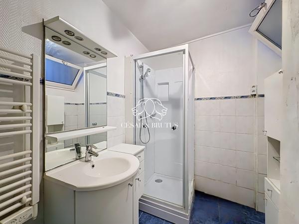 T3 de 73m2 + cave (secteur Burdeau/jardin des plantes)