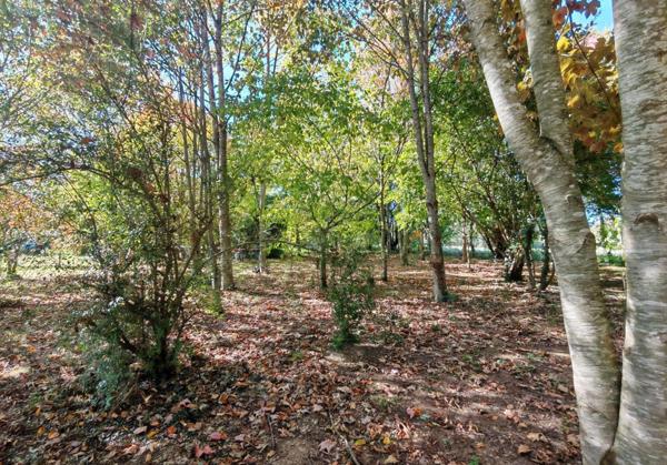 Maison à vendre 7 pièces CARENTOIR (56)