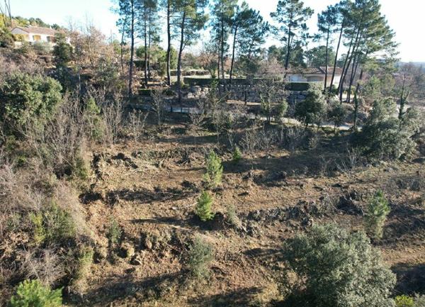 Terrain à vendre    Joyeuse