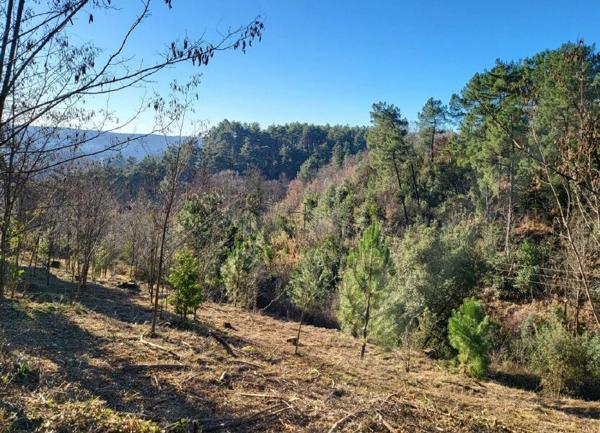 Terrain à vendre    Joyeuse