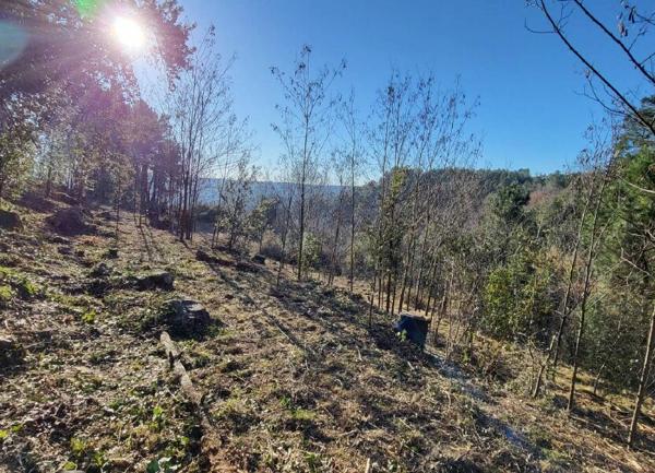 Terrain à vendre    Joyeuse