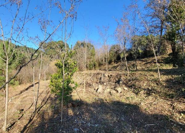 Terrain à vendre    Joyeuse